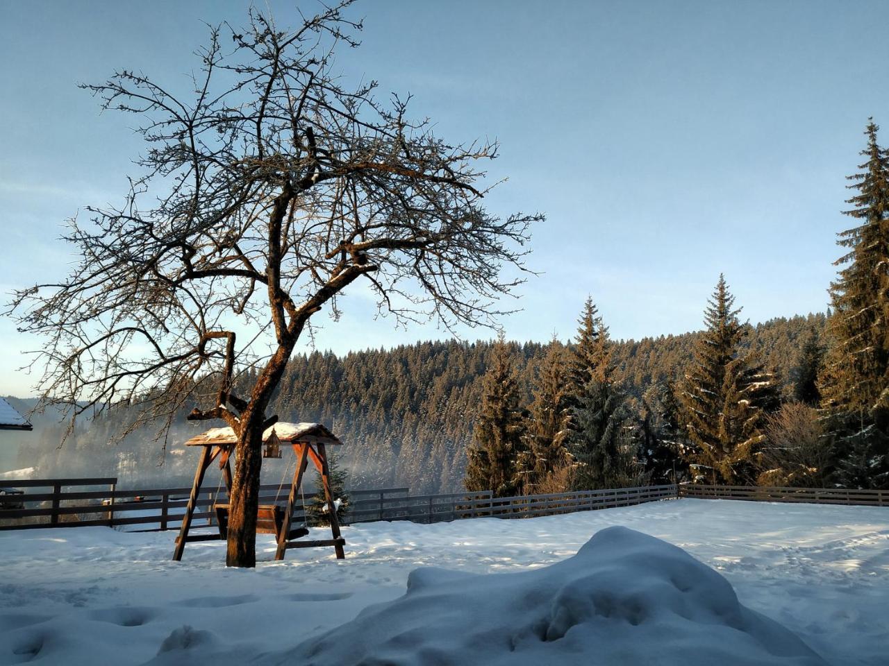 Villa Montana 보르섹 외부 사진